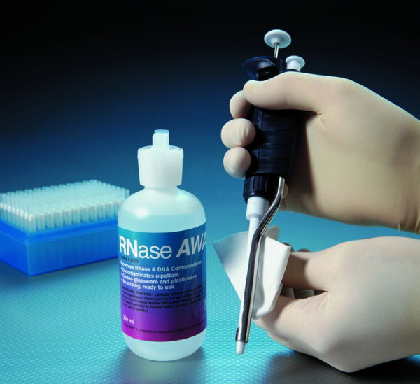 RNase AWAY® 1 * 1 l