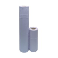 Hygiene Blue Roll 10 inch 1 * 24 items