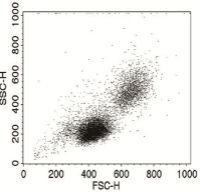 Ponceaus Stain 0.1% w/v- 5% Acetic