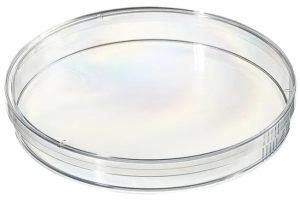 Petri Dish 140mm diameter, triple vent, PS, IRR, 1 * 80 items