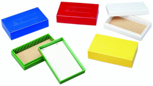 Slide box with lid, 100 place, nickel plated clasp and hinge pin, Cork lined, 171× 222× 33mm, Red, 1 * 1 Item